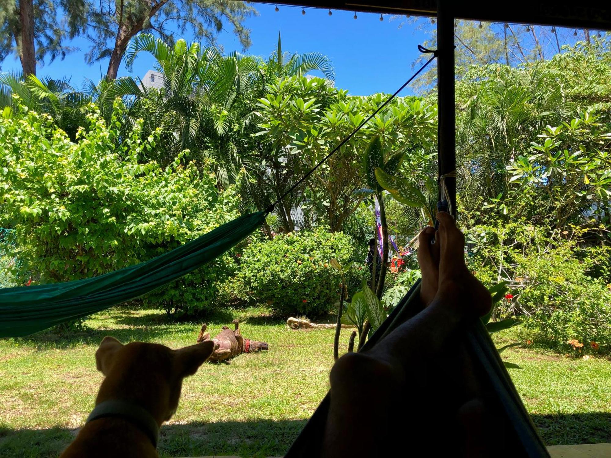 珍南海滩Shaka Garden House Langkawi公寓 外观 照片